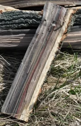 [Hearth.com] Wood I.D. Help What In The World Is This Stuff??