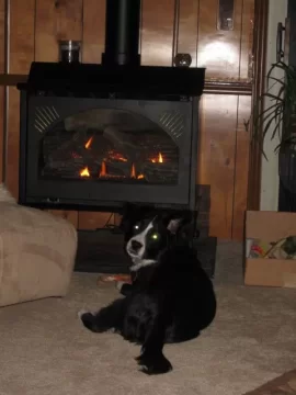 [Hearth.com] Our 1st ever pellet delivery!!!