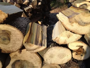 [Hearth.com] Splitting Poplar/ Yellow Tulip
