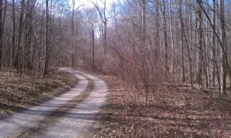 [Hearth.com] Project 2012: Trees+chainsaws= food plots!
