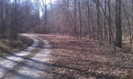 [Hearth.com] Project 2012: Trees+chainsaws= food plots!