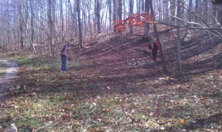 [Hearth.com] Project 2012: Trees+chainsaws= food plots!
