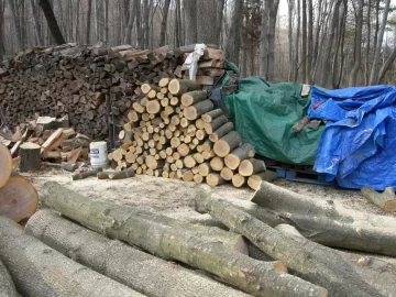 [Hearth.com] Another score that DELIVERS!!!