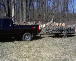 Trying to beat the warm weather to retrieve my Hickory.