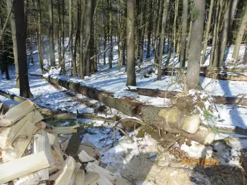 [Hearth.com] Added More Pine