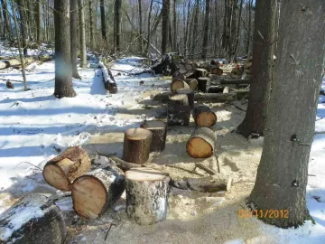 [Hearth.com] Added More Pine