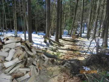 [Hearth.com] Added More Pine