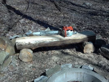 [Hearth.com] Repurposed firewood?