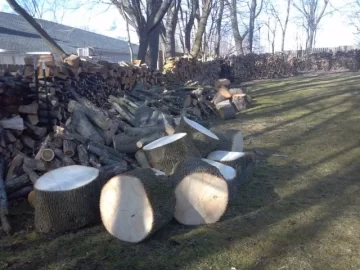 [Hearth.com] Another people want to give me wood with pics