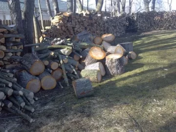 [Hearth.com] Another people want to give me wood with pics