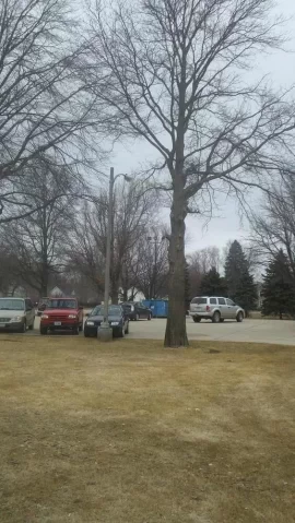 [Hearth.com] Pin Oak updated with 1st load pics