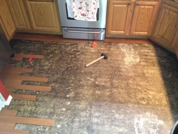 [Hearth.com] Time for a new floor (Part 1)