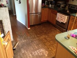 Time for a new floor (Part 1)