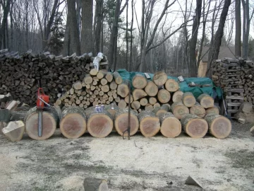 [Hearth.com] Bucked and ready to split