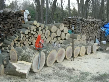 [Hearth.com] Bucked and ready to split