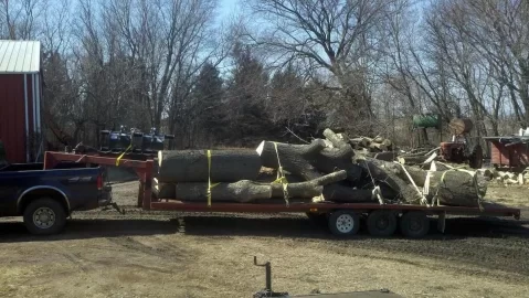[Hearth.com] Pin Oak updated with 1st load pics