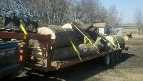 [Hearth.com] Pin Oak updated with 1st load pics
