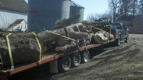 [Hearth.com] Pin Oak updated with 1st load pics