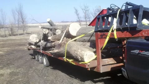 [Hearth.com] Pin Oak updated with 1st load pics