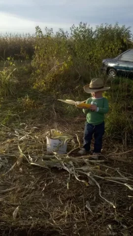 [Hearth.com] Kids with Cows
