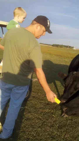 [Hearth.com] Kids with Cows