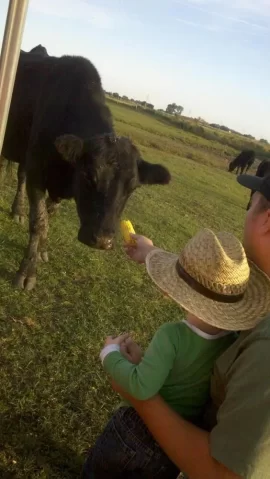 [Hearth.com] Kids with Cows