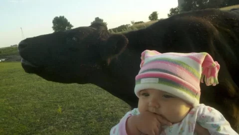 [Hearth.com] Kids with Cows