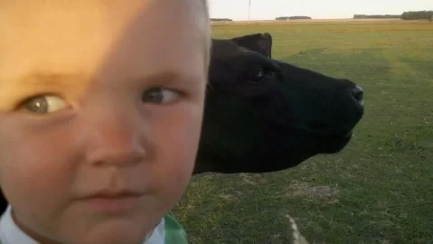 [Hearth.com] Kids with Cows