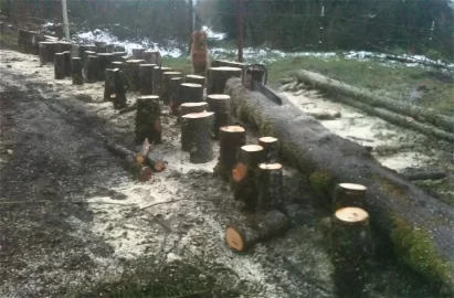 [Hearth.com] Truck logging - New Pics Added