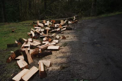 [Hearth.com] Truck logging - New Pics Added