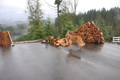 [Hearth.com] Truck logging - New Pics Added