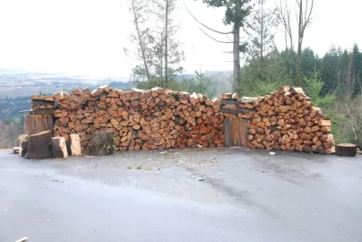 [Hearth.com] Truck logging - New Pics Added