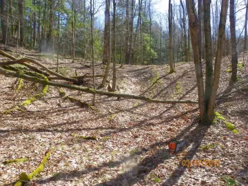 [Hearth.com] Went Scouting for More Wood