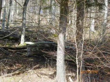 [Hearth.com] Went Scouting for More Wood