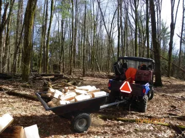 [Hearth.com] Went Scouting for More Wood