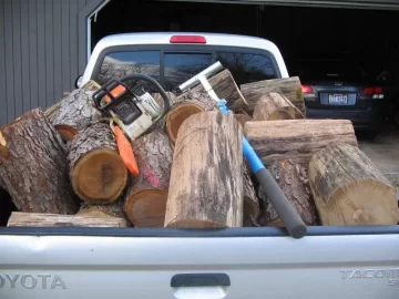 [Hearth.com] Cut this today.