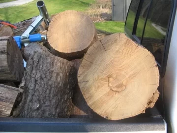 [Hearth.com] Cut this today.
