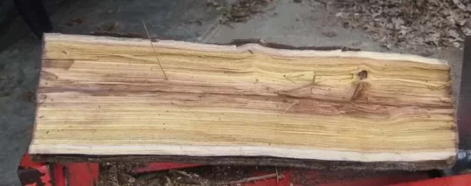 [Hearth.com] Wood ID Help