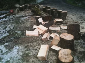 [Hearth.com] Truck logging - New Pics Added