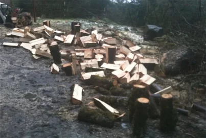 [Hearth.com] Truck logging - New Pics Added