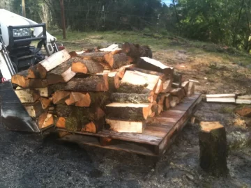 [Hearth.com] Truck logging - New Pics Added