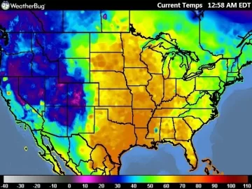 [Hearth.com] Spring?