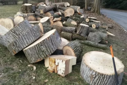 [Hearth.com] Wood id