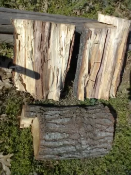 [Hearth.com] Gnarly Wood ID, Please
