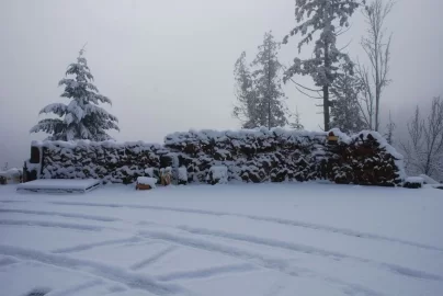 [Hearth.com] My walk this morning.