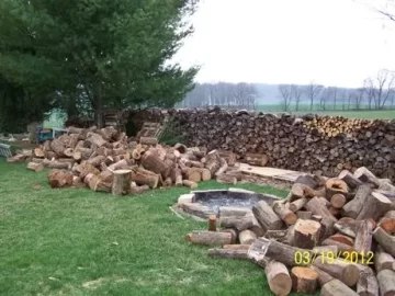 [Hearth.com] Wood ID for great score