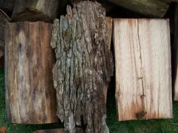 [Hearth.com] Wood ID for great score