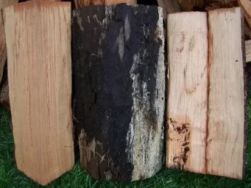 [Hearth.com] Wood ID for great score