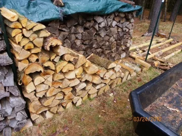 [Hearth.com] Yellow Birch & Sugar Maple