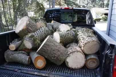[Hearth.com] Unique wood score - w/pics